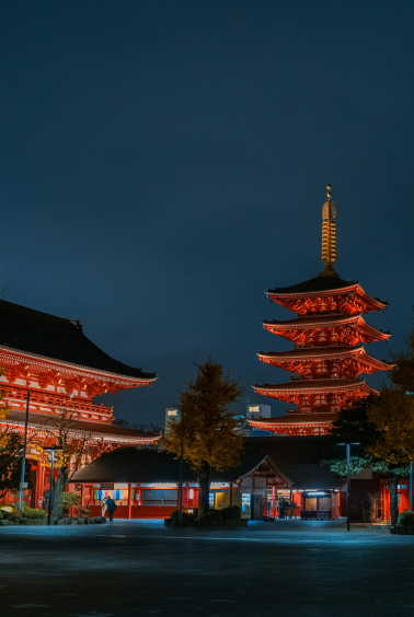 代表取締役の写真